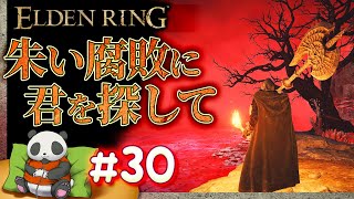 #30【朱い腐敗に君を探して】パンダが征くエルデンリング【ELDENRING】【髭熊猫】