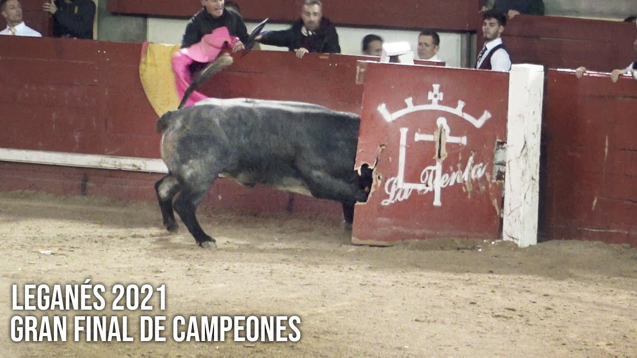 Leganés 2021 El TORO BRAVO que ROMPE el burladero