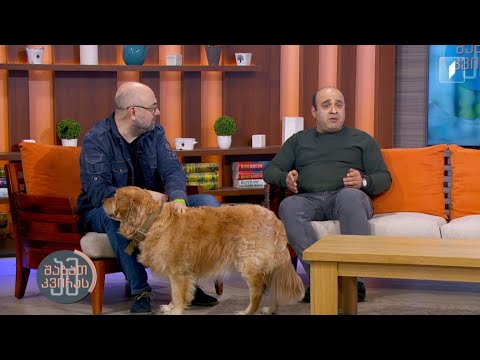 #ამშაბათკვირას გაზაფხული და შინაური ცხოველები | დავით ნანობაშვილი | გიორგი ასანიშვილი