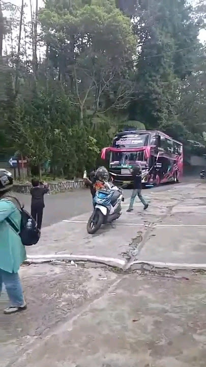 basuri nada sir gobang gosir & kucing garong bus BLACK PINK - TJ #shorts #telolet #@andribarnez81