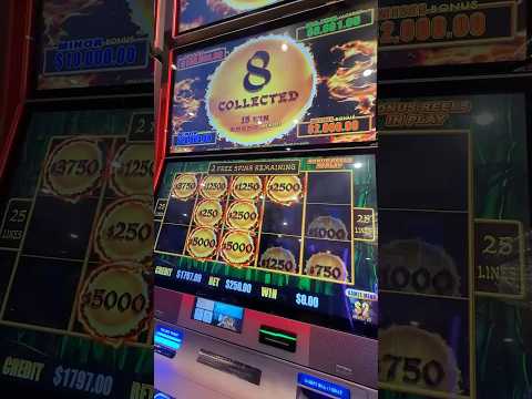 UNREAL JACKPOT Paid ALL in CASH #casino #slots #gambling