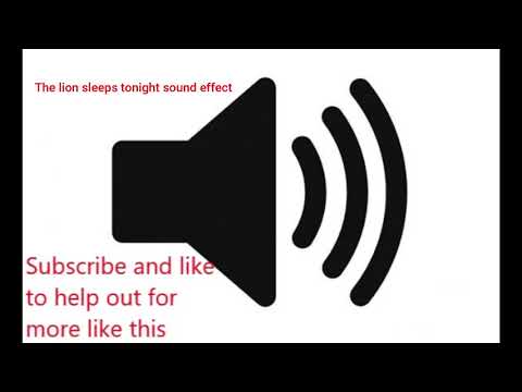 the-lion-sleeps-tonight-sound-effect