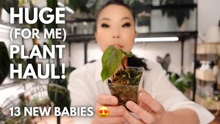 I checked off one of my 'unobtainable' wishlist plants  US plant haul!