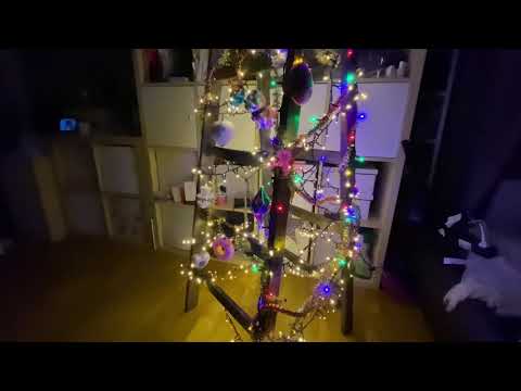 Video: Kreativer Weihnachtsbaum