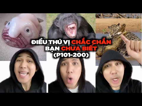 Video: 5 Những Điều Bạn Có Thể Chưa Biết Về Washington, D.C