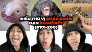 Tất Cả Những Điều Thú Vị Có Thể Bạn Chưa Biết Phần 101-200