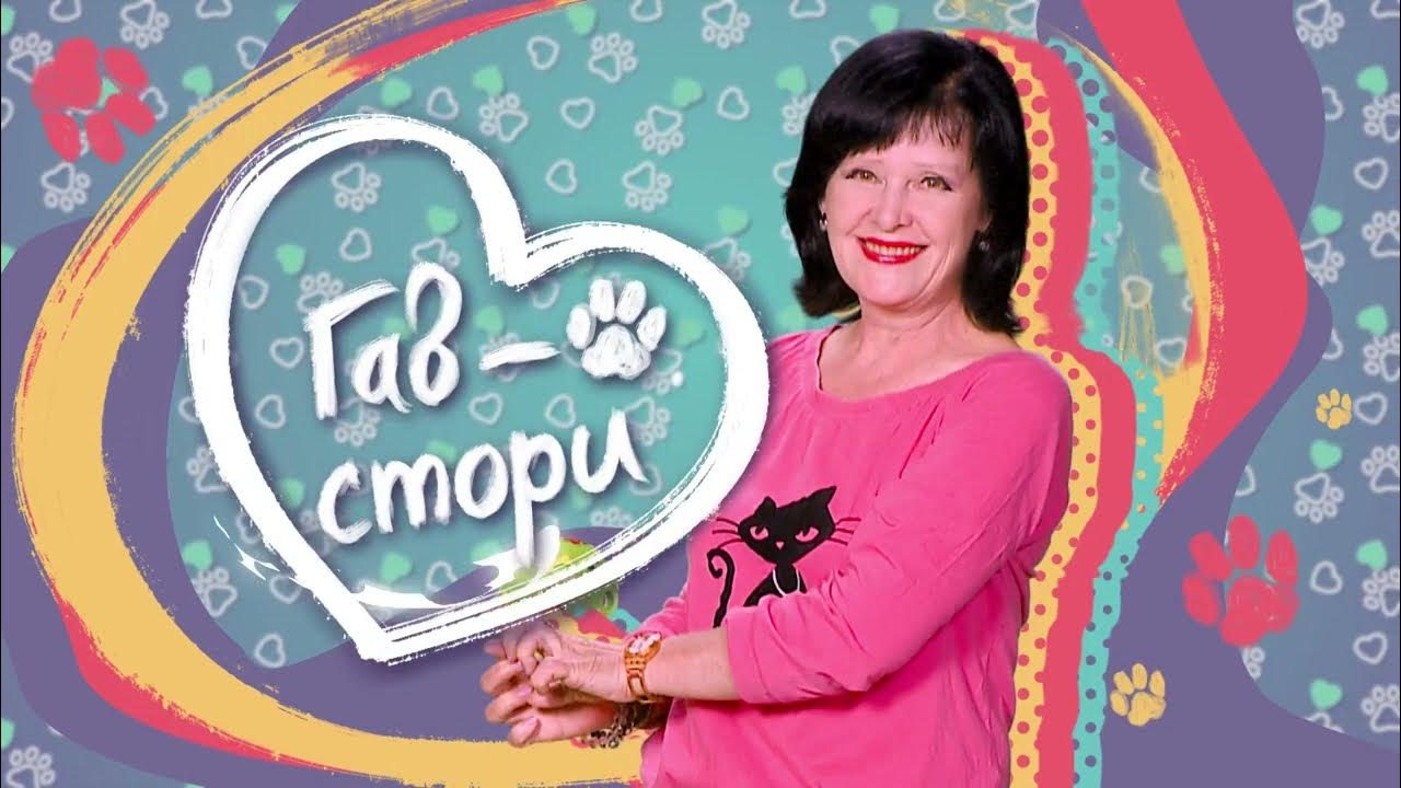 гав стори. класс вы стори это. тетрадь клетка 40 листов серия "гав-стори". гав стори. гав стори.