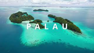 Living Like A Palauan 🇵🇼 (Trailer)