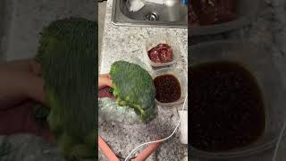 what my 1 year old ate for dinner