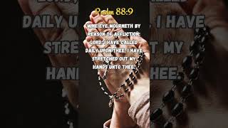 I Call on You, Lord, Every Day 🙏📆 #shorts #prayer #jesus #jesuschrist #bible #amen #scripture