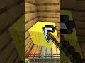 これは目の錯覚じゃないでしょ #マインクラフト #マイクラ #minecraft #shorts
