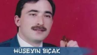 Hüseyin Bıçak-Kadırganın Başında Karaovacık Şenliği 1998 Yılı Resimi