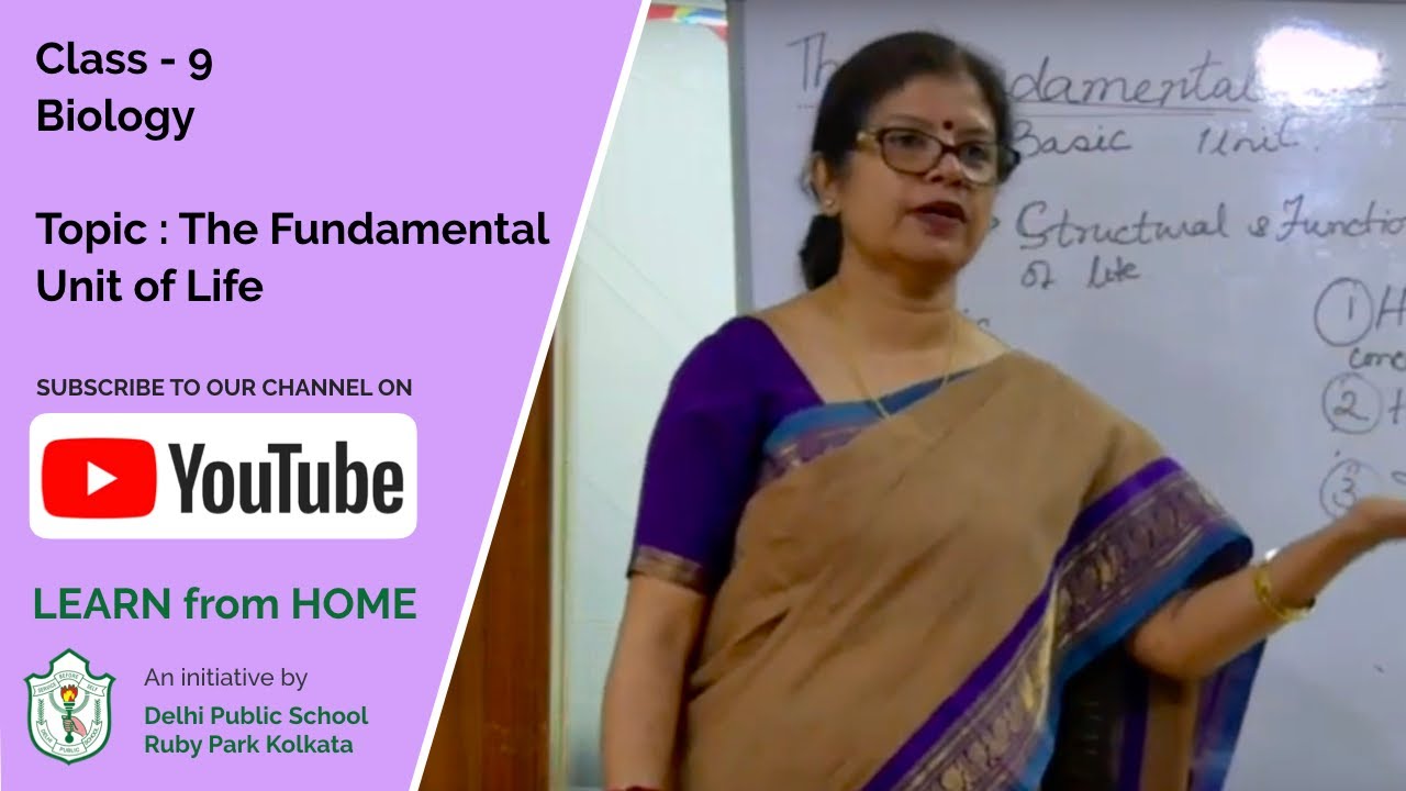 Class IX Biology Topic The Fundamental Unit Of Life DPS Ruby
