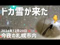 ドカ雪が来た!夜の札幌市内の積雪状況