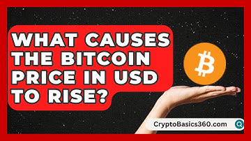 What Causes the Bitcoin Price in USD to Rise? | CryptoBasics360 News