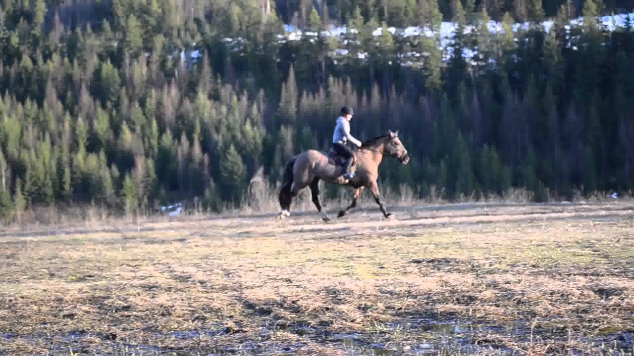 {RAWS} Quinn - Spring Break