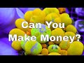 How To Make Money From Your Aquarium!