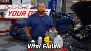 How to Properly Handle, Dispose, and Recycle Your Vehicle's Vital Fluids | MotorWeek Your Drive