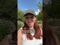 Touriste dans ma ville, épisode 8 : direction l’Insectarium