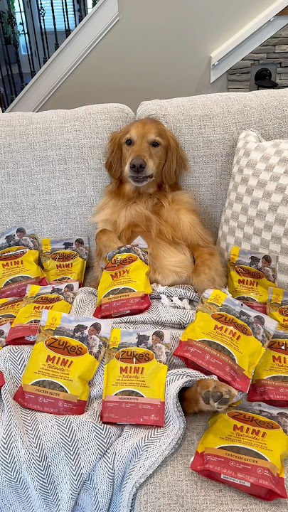 Teddy got the tastiest deal ever with @ZukesPets !