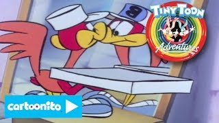 Tiny Toon Adventures | Pizza Problems | Cartoonito