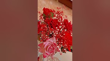 من حفِظَ عَشْرَ آياتٍ مِن أوَّلِ سُورَةِ الكَهْفِ عُصِمَ مِنَ الدَّجَّالِ