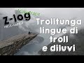 Trolltunga, lingue di troll e diluvi | Mitozu Adventure - Norway Edition #04