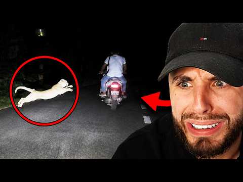 Truly Disturbing Things Caught On Dashcam Footage...