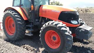 EAE Kubota Zamora Tractor M135X con roto acamadora doble Núñez para fresa 1.10m