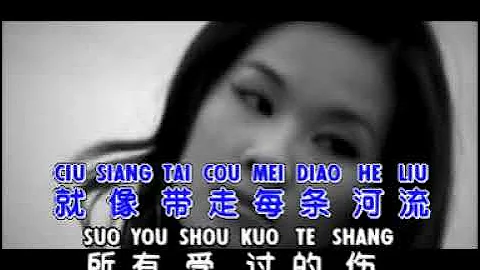 DA HAI   Huang Jia Jia