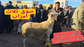 مباشرة من سوق ثلاث الأولاد فارس امزاب 05\05\2026 مع التمن حولي العيد الأضحى 🐏