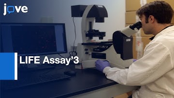 Detection: miRNA Targets In High-Throughput Using 3