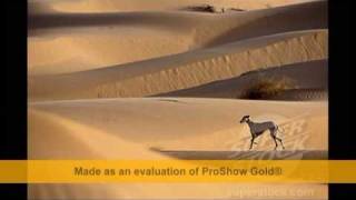 Greyhound  فلم ومعلومات عن السلوقي العربي
