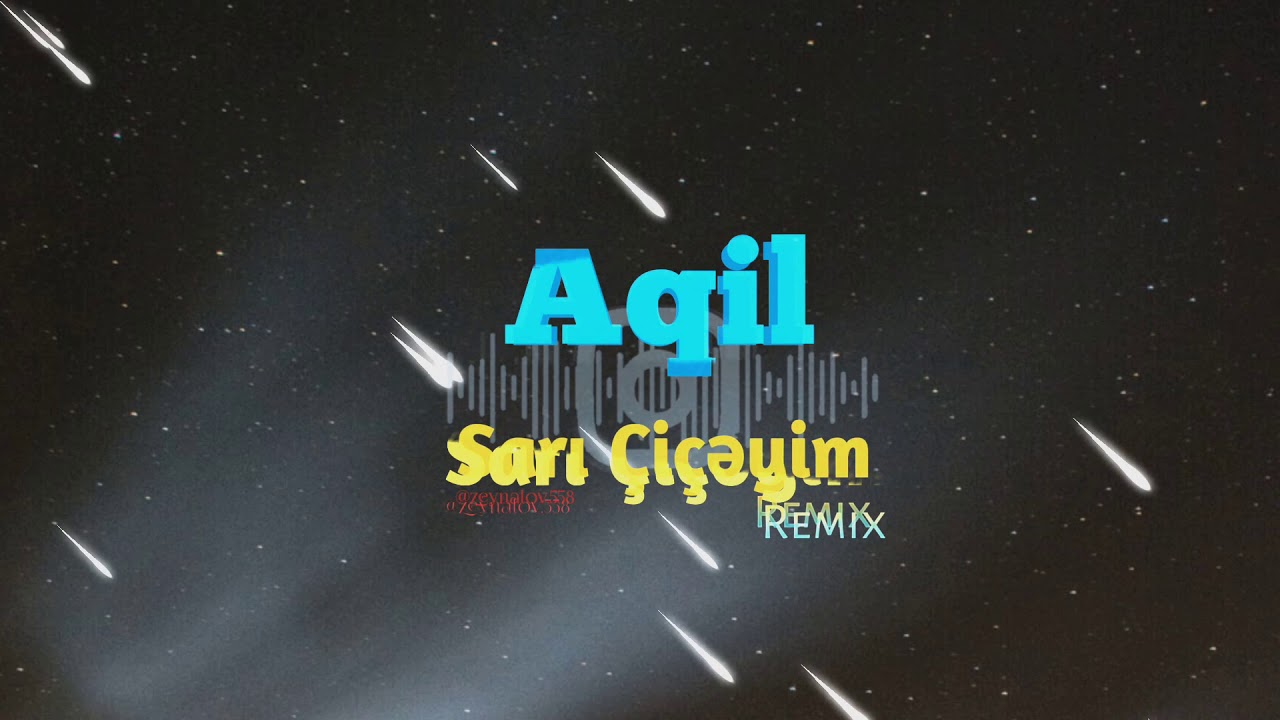 aqil-sarı