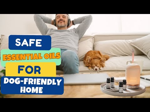 What Essential Oils Are Safe To Diffuse Around Dogs??