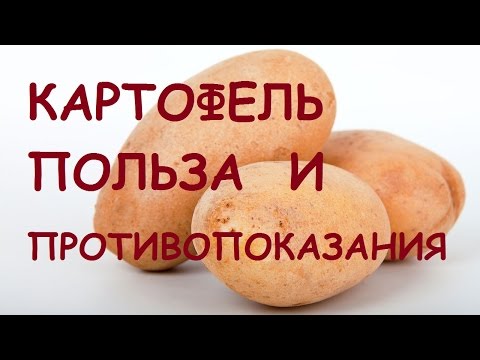 Картофель. Польза и вред для организма.