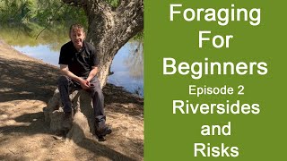 Foraging For Beginners. Episode 2, Riversides and Risks