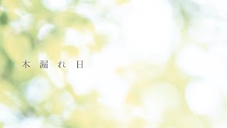 Backlight of Youth「木漏れ日」