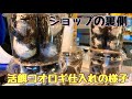 【爬虫類ショップ】生餌！みんな大好物の活餌コオロギ、ゴキブリの仕入れの様子！！