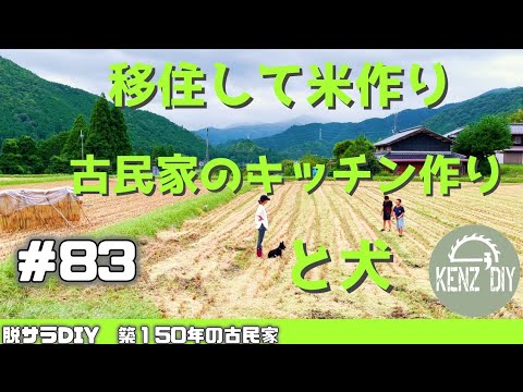 【脱サラ古民家DIY】漆喰ならパテ無しでも大丈夫じゃないか説　漆喰DIY前の下準備　天日干ししたお米収穫！　　#83