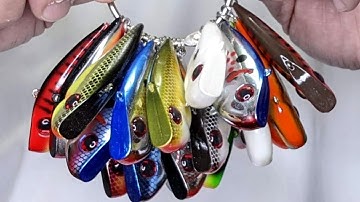 Only Lure Color You Need in This Situation - With Underwater Examples