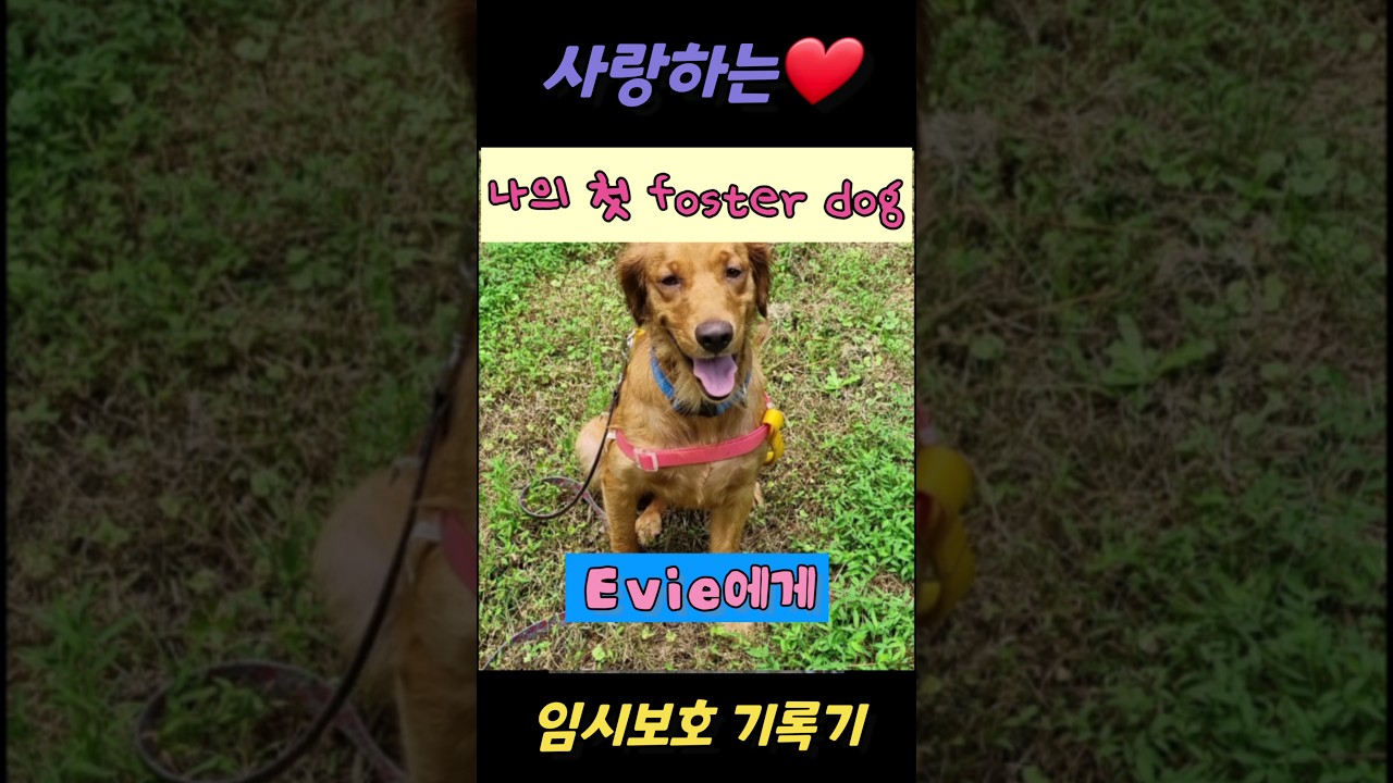 Smashing the pine cone