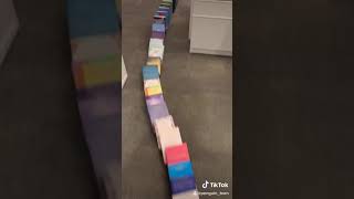 Book Dominoes Viral TikTok