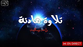 سورة الملك +سورة مريم +سورة الحجر+سورة الرحمان+سورة الكهف