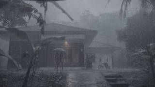 Scary Heavy Rain & thunderstorms hit the green & beautiful Red Soil countryside | Relaxing