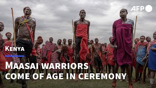 Hundreds of Maasai warriors come of age during 'Eunoto' ceremony in Kenya | AFP