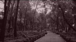 Creepypasta-Aquel parque