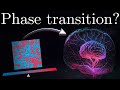 Brain Criticality - Optimizing Neural Computations