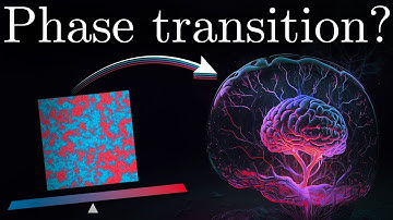 Brain Criticality - Optimizing Neural Computations