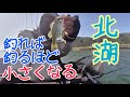 【琵琶湖バス釣り】北湖西岸で釣れば釣るほど小さい魚 2020年冬